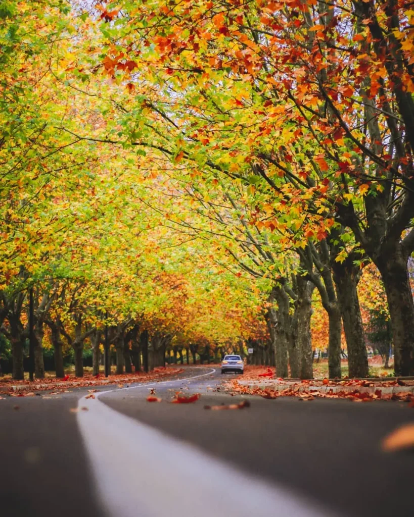 Ifrane, Morocco - At autumn