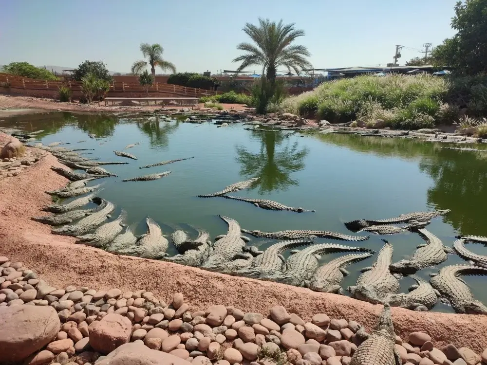 Crocoparc Agadir