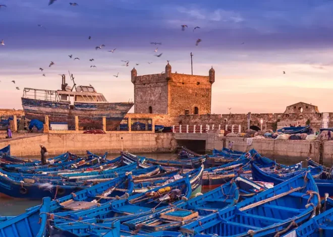 10 Must-Do Experiences in Essaouira