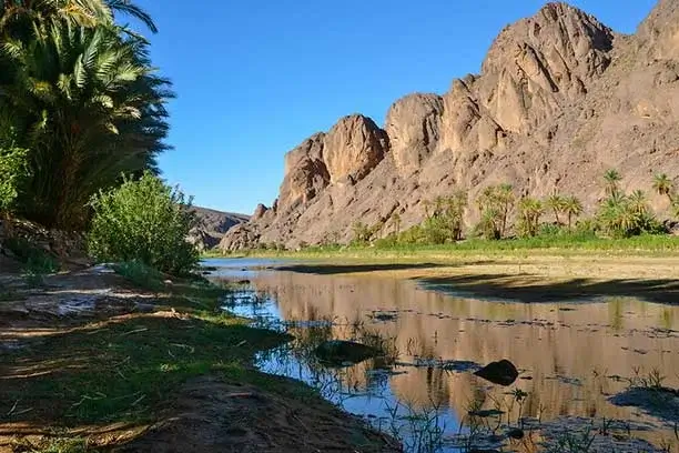 Fint Oasis Ouarzazate