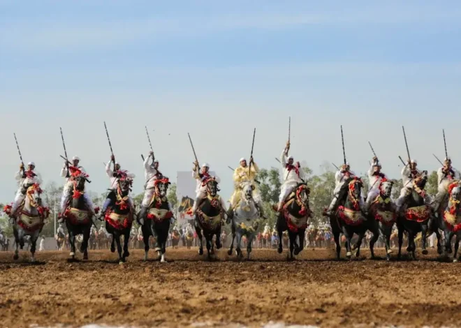 Tbourida: Morocco’s ancestral equestrian show