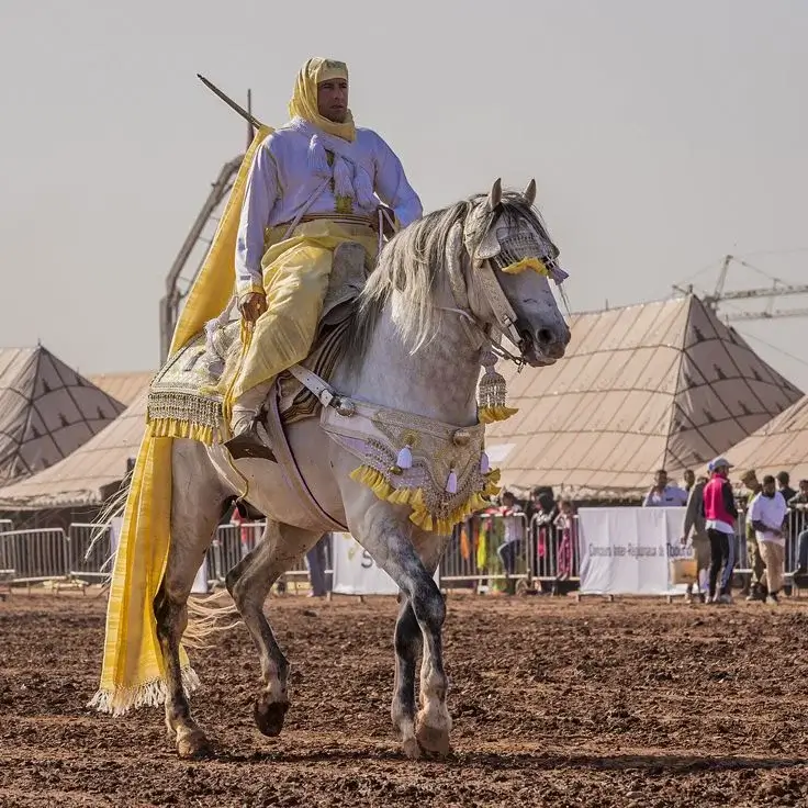 Tbourida: Morocco's ancestral equestrian show - Tbourida outfit