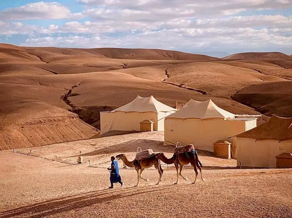 Camel ride