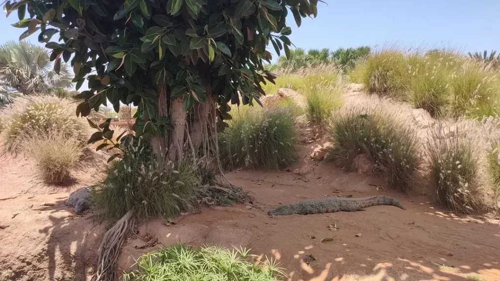 Crocoparc Agadir