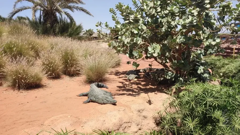 Crocoparc Agadir